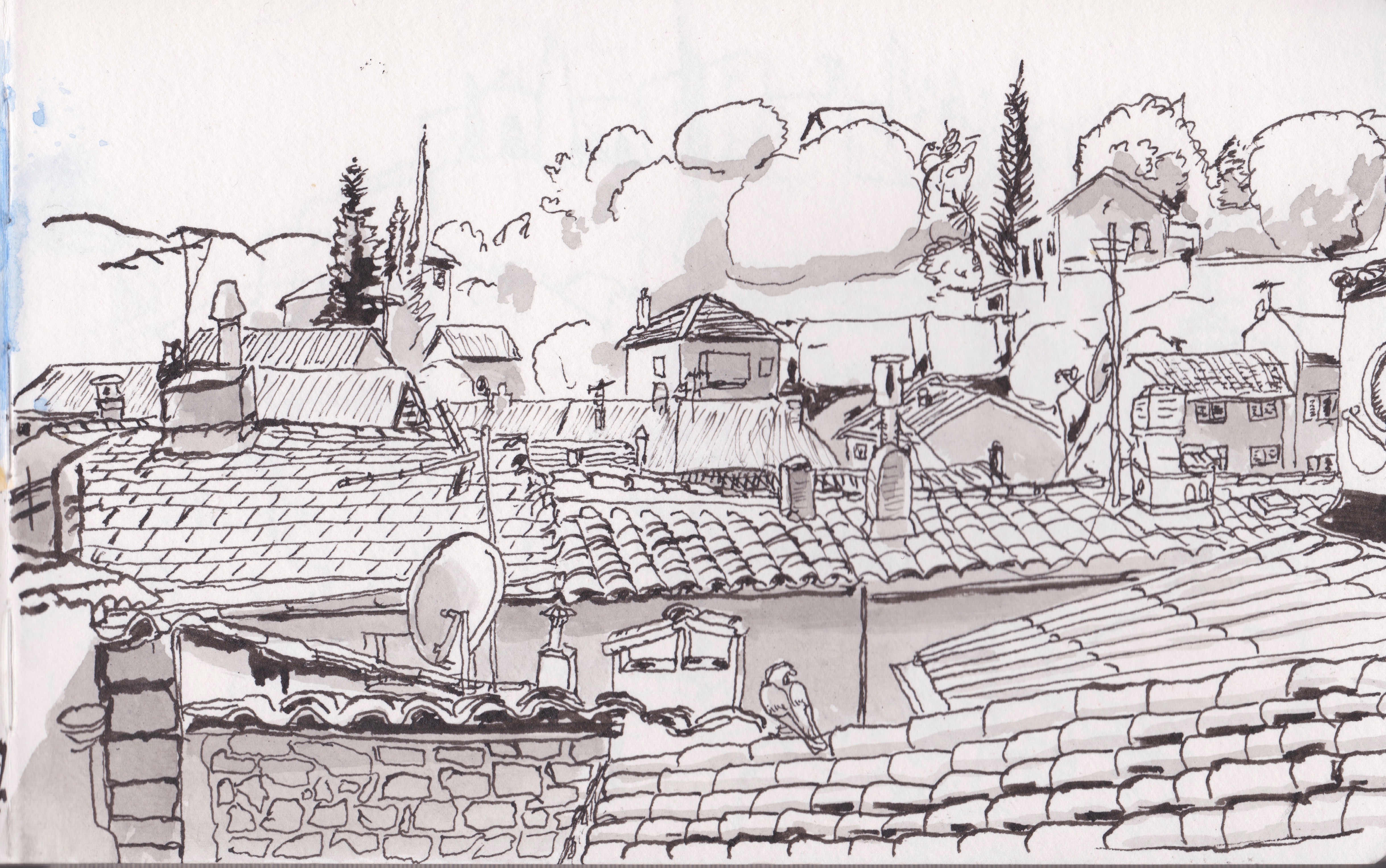 new black whites 3.jpeg